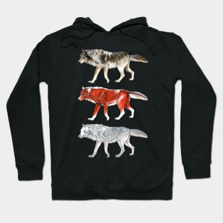 Wolf Anatomy Hoodie